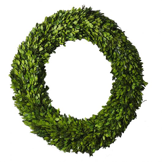 A Preserved Boxwood Wreath by Accent Decor expertly assembled on a white background.