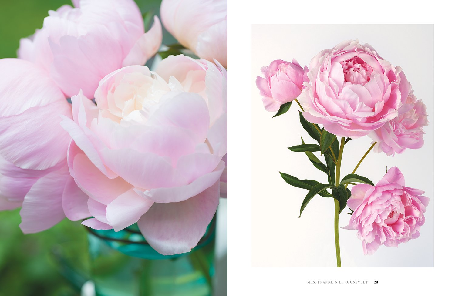 inside page of Peonies book