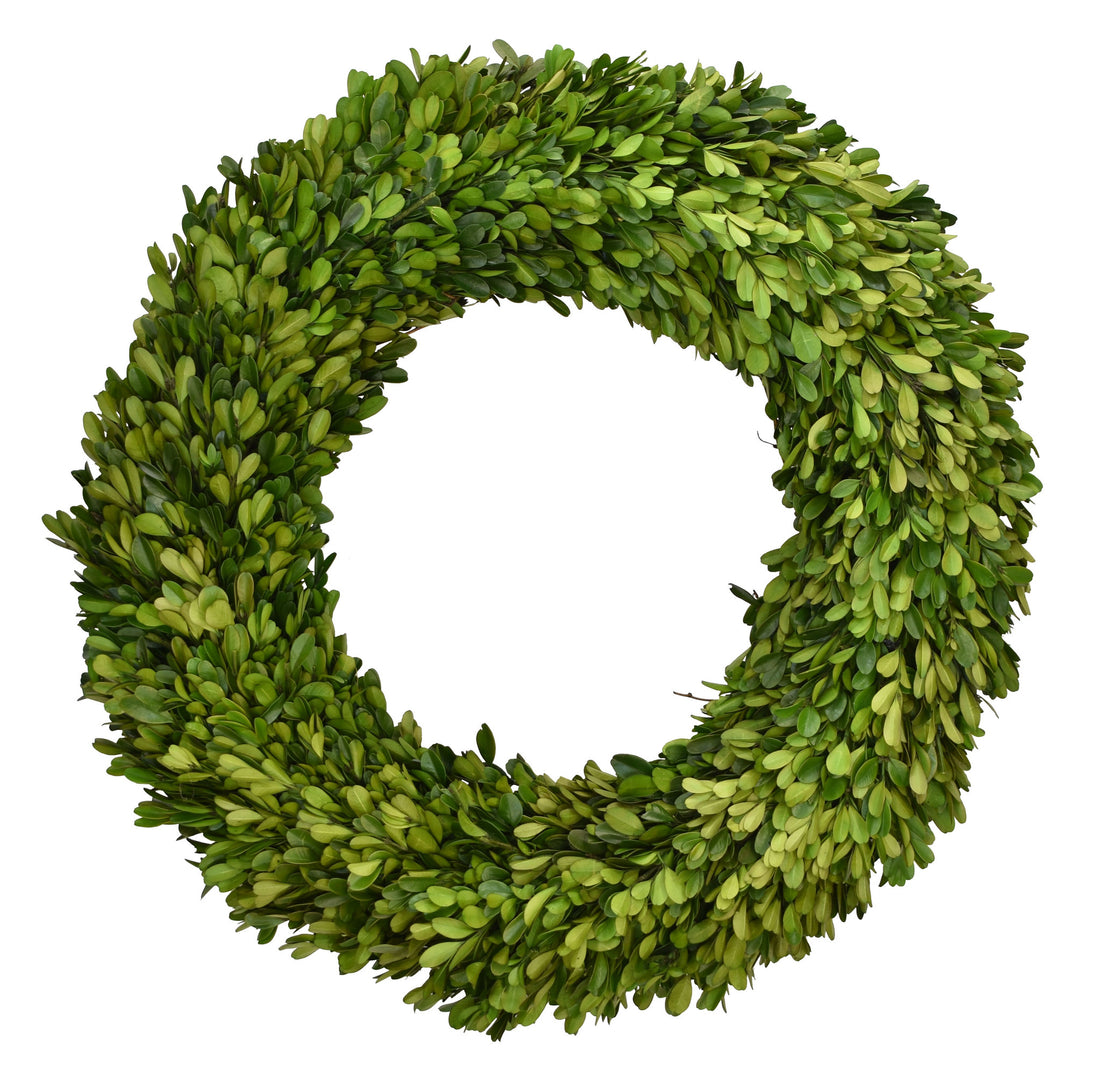 Mini Boxwood Circle Wreath – Hester & Cook