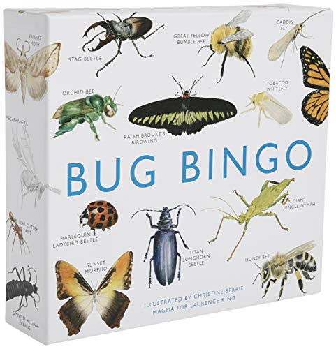 A board game named Bug Bingo with various illustrations of insects on the cover.