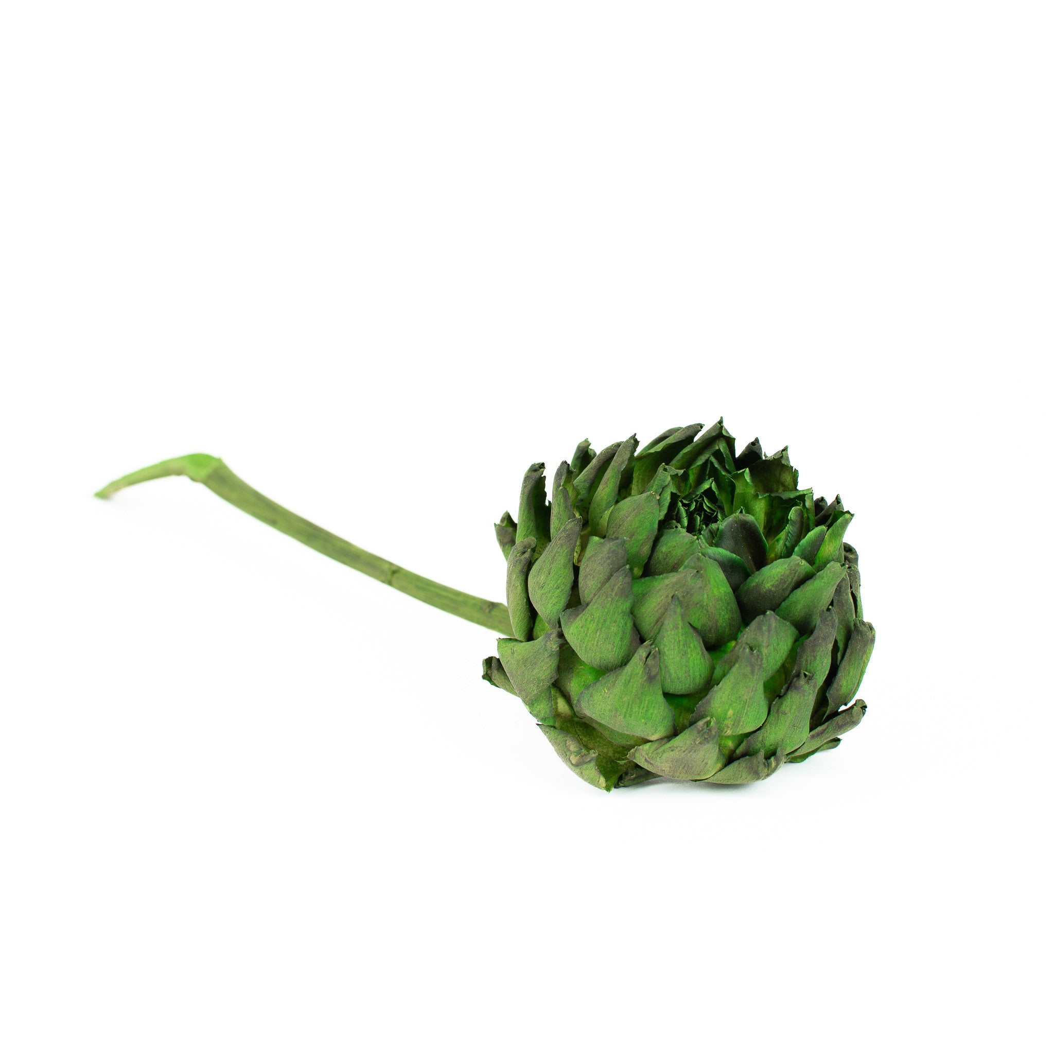 close up of single dried green artichoke