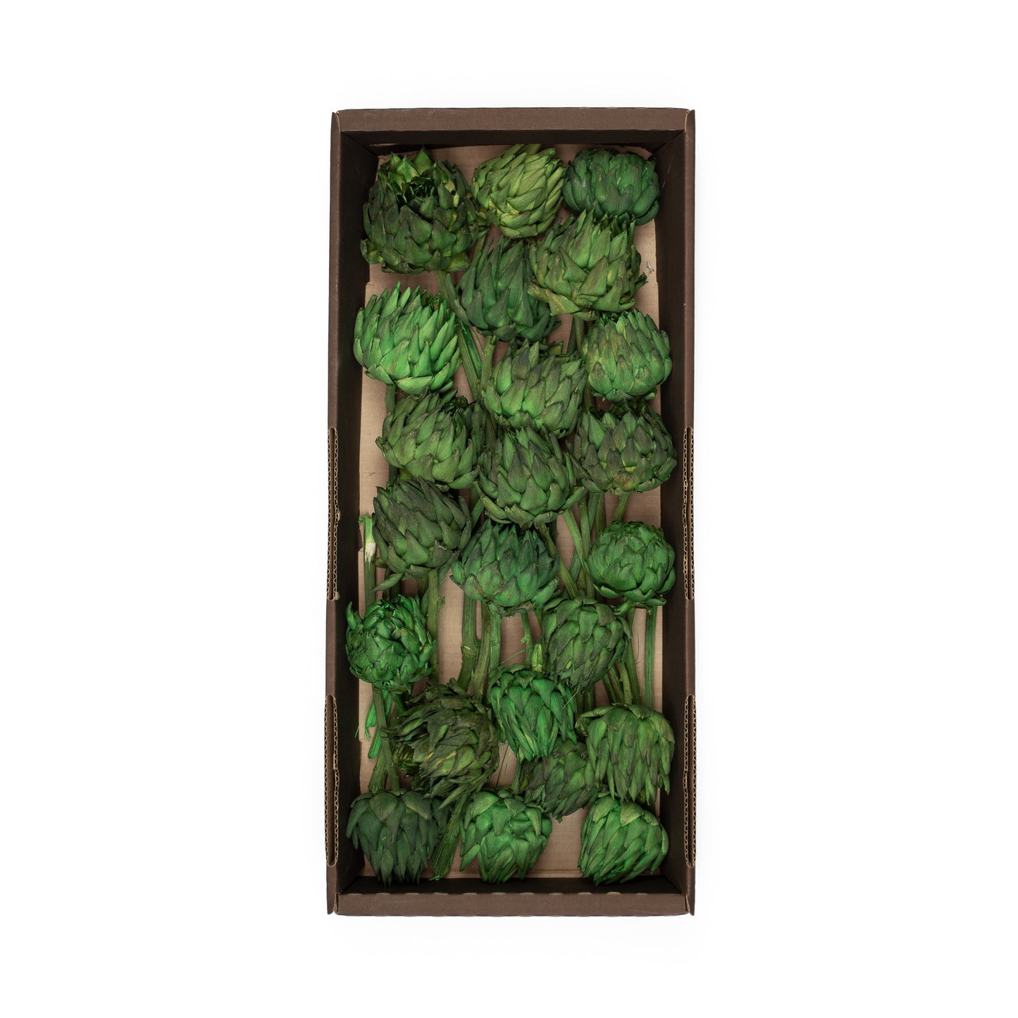 Dried Green Artichokes, Set of 20