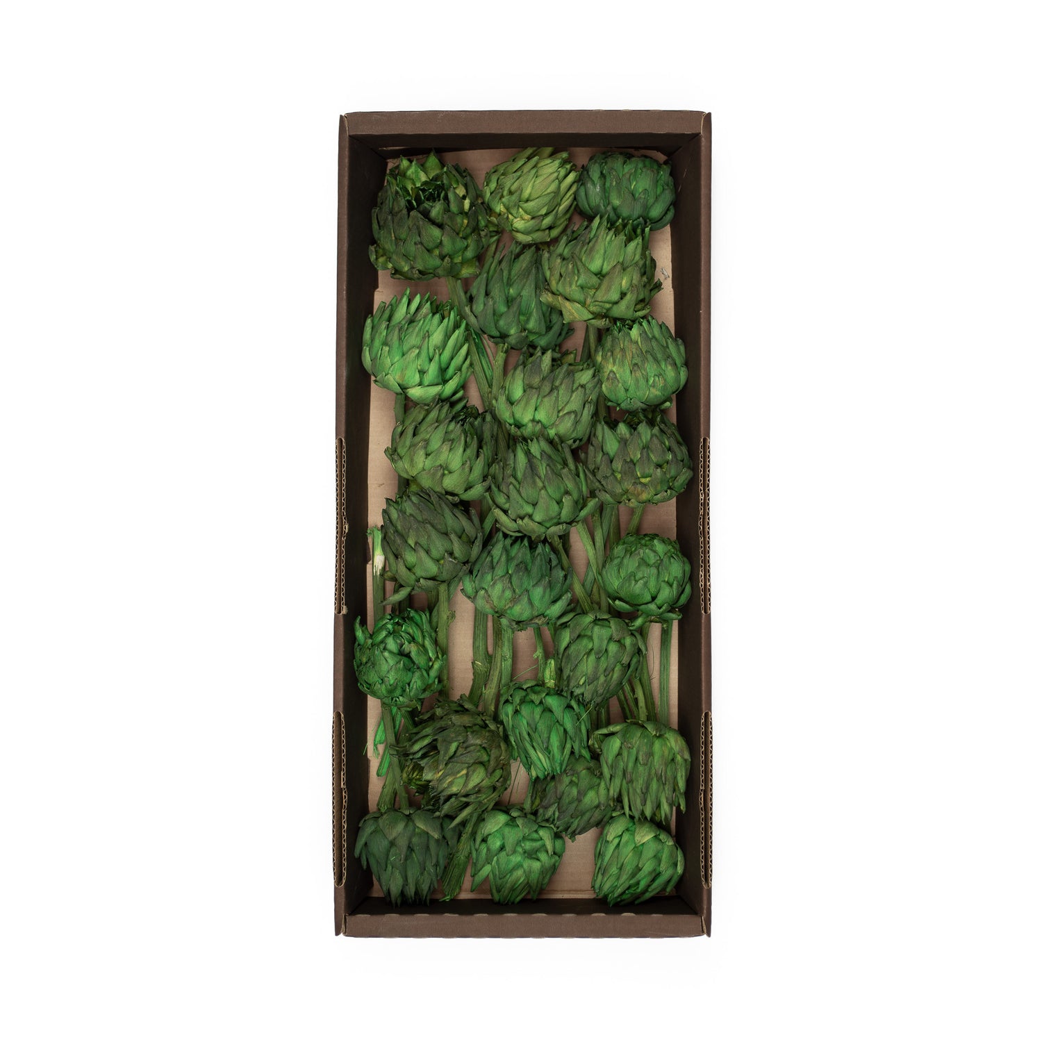 box of 20 dried green artichokes