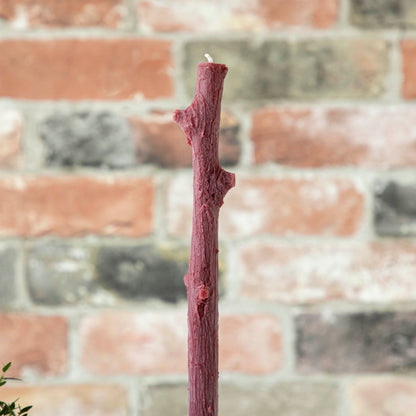 Hemlock Stick Candles, Set of 2