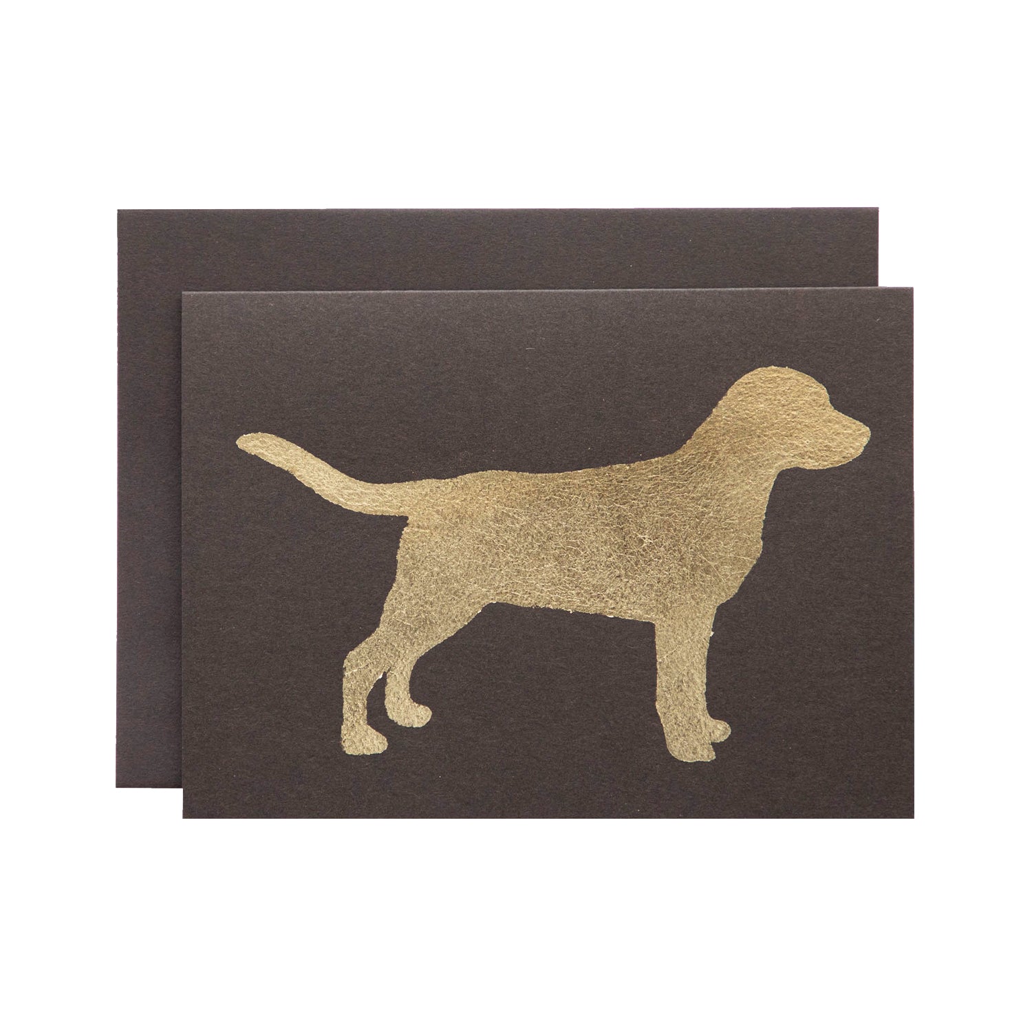 Brown Dog Card