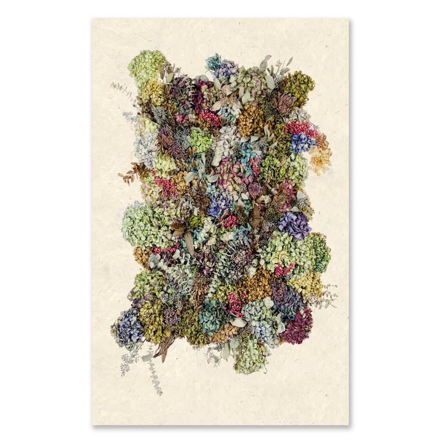 This Collective Hydrangea Grand Format print by Barloga Studios features a variety of succulents on a beige background, printed on high-quality cotton rag paper. Perfect for adding a touch of nature to your space. Available for shipping worldwide.
