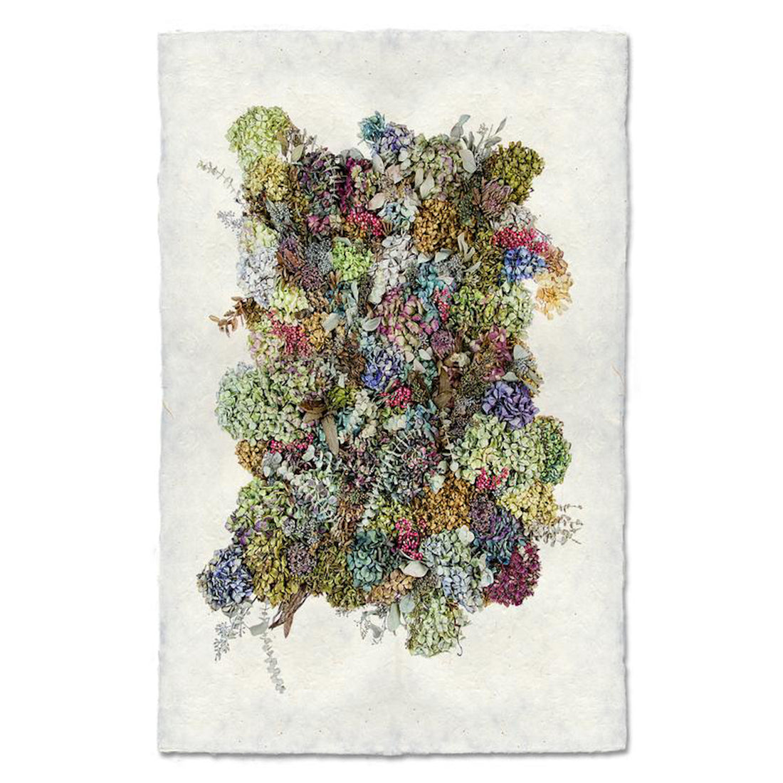 A high-quality Collective Hydrangea Art Print handmade paper with a bunch of flowers on it from Barloga Studios.