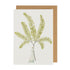 A Fabulous Ferns 4 Greeting Card with an illustration by Laura Stoddart of a woman holding a fern, made from environmentally sustainable materials by Hester & Cook.