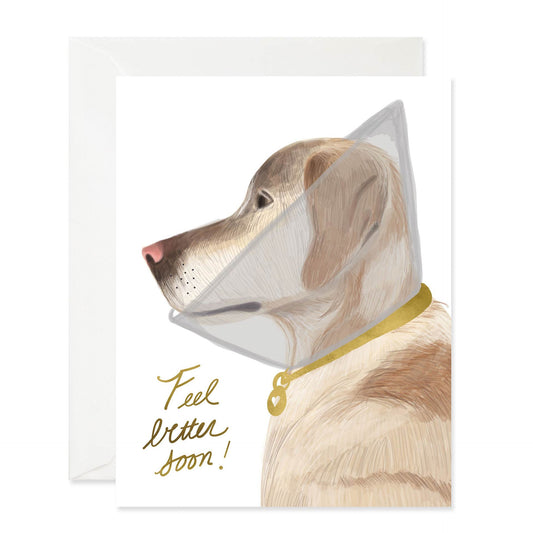 Feel Better Doggie Card