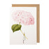 A Pink Hydrangea Greeting Card featuring illustrator Laura Stoddart&