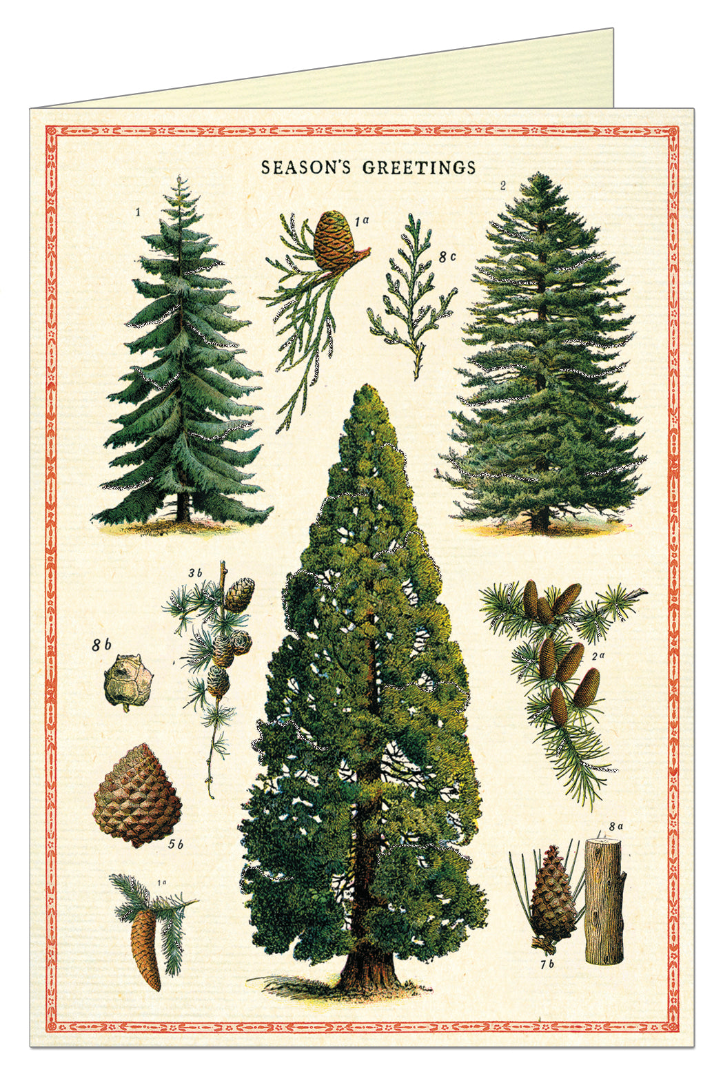 Christmas Trees Boxed Set Cards