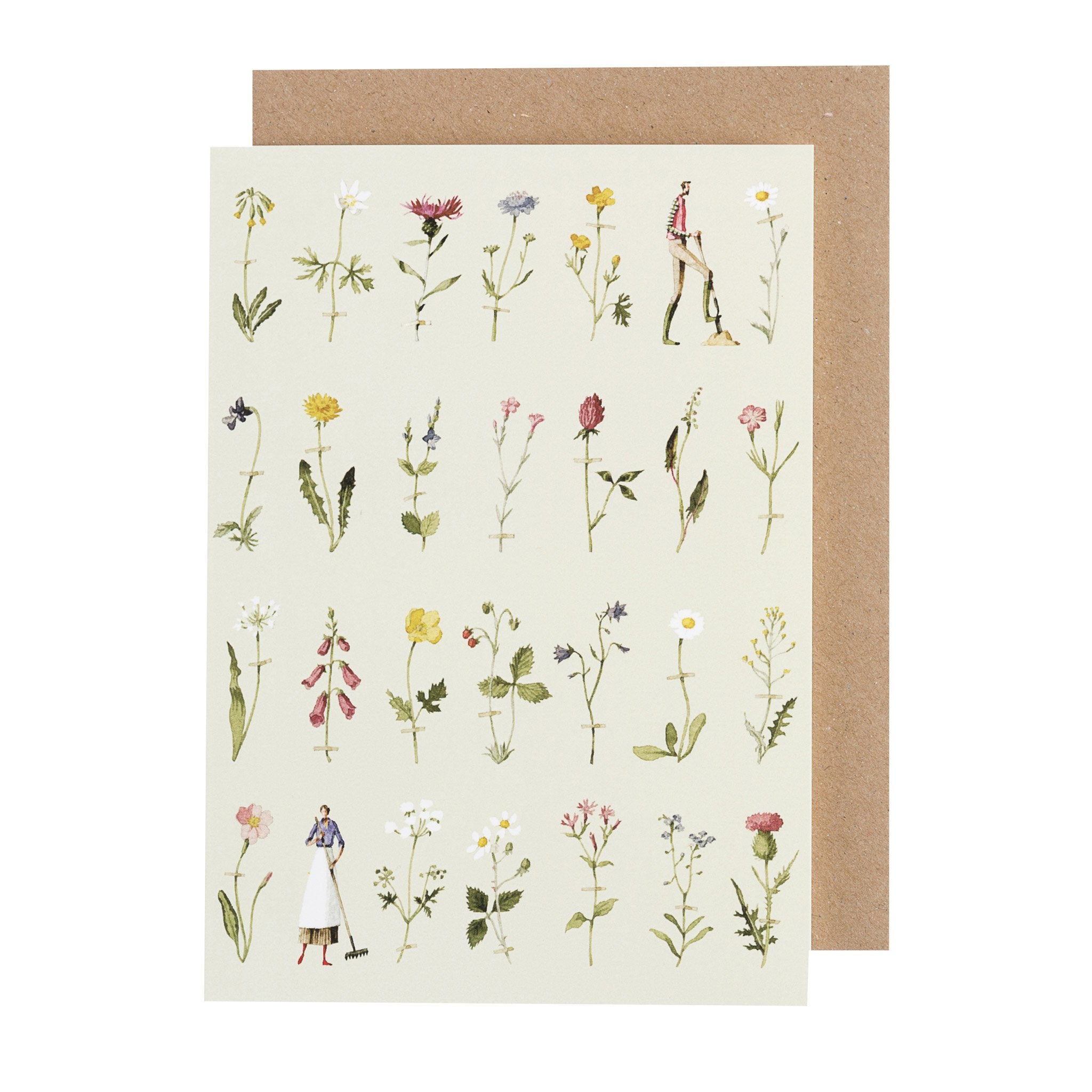 Wild Flowers Greeting Card