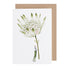 Astrantia Greeting Card featuring artwork of a man holding a flower by Laura Stoddart from Hester & Cook.