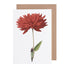 A person holding a large red flower that covers their upper body is depicted on a Hester & Cook Dahlia Greeting Card, made of environmentally sustainable paper, with a brown envelope in the background.