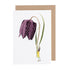 A Fritillary Greeting Card with artwork by Laura Stoddart, featuring a purple flower on it by Hester & Cook.