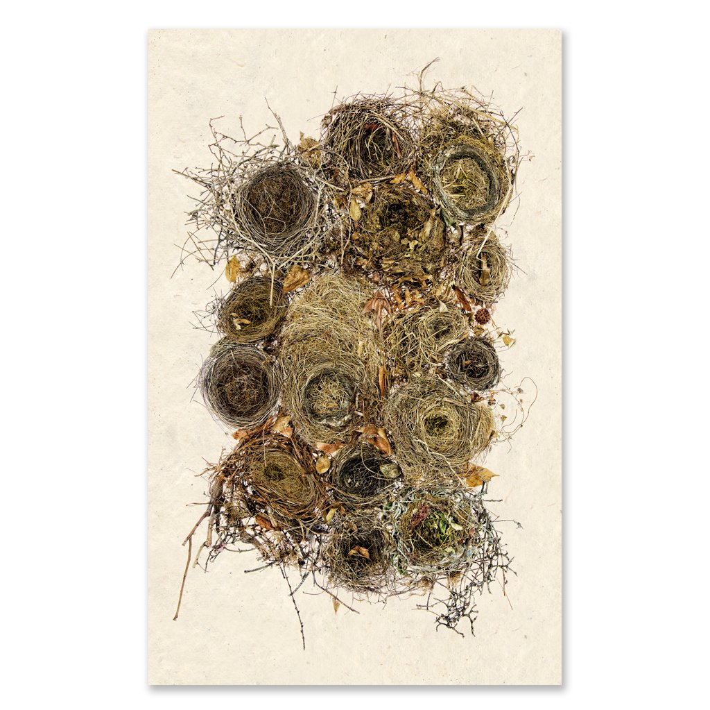 Collective Nests Grand Format Art Print