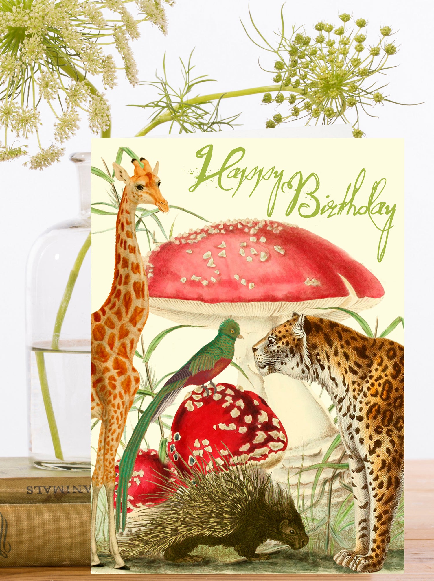 Unlikely Friends Happy Birthday Card
