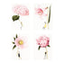 Four In Bloom Pink Flowers Notecards, Set of 8 by Hester & Cook featuring pink floral prints with a woman holding a flower.