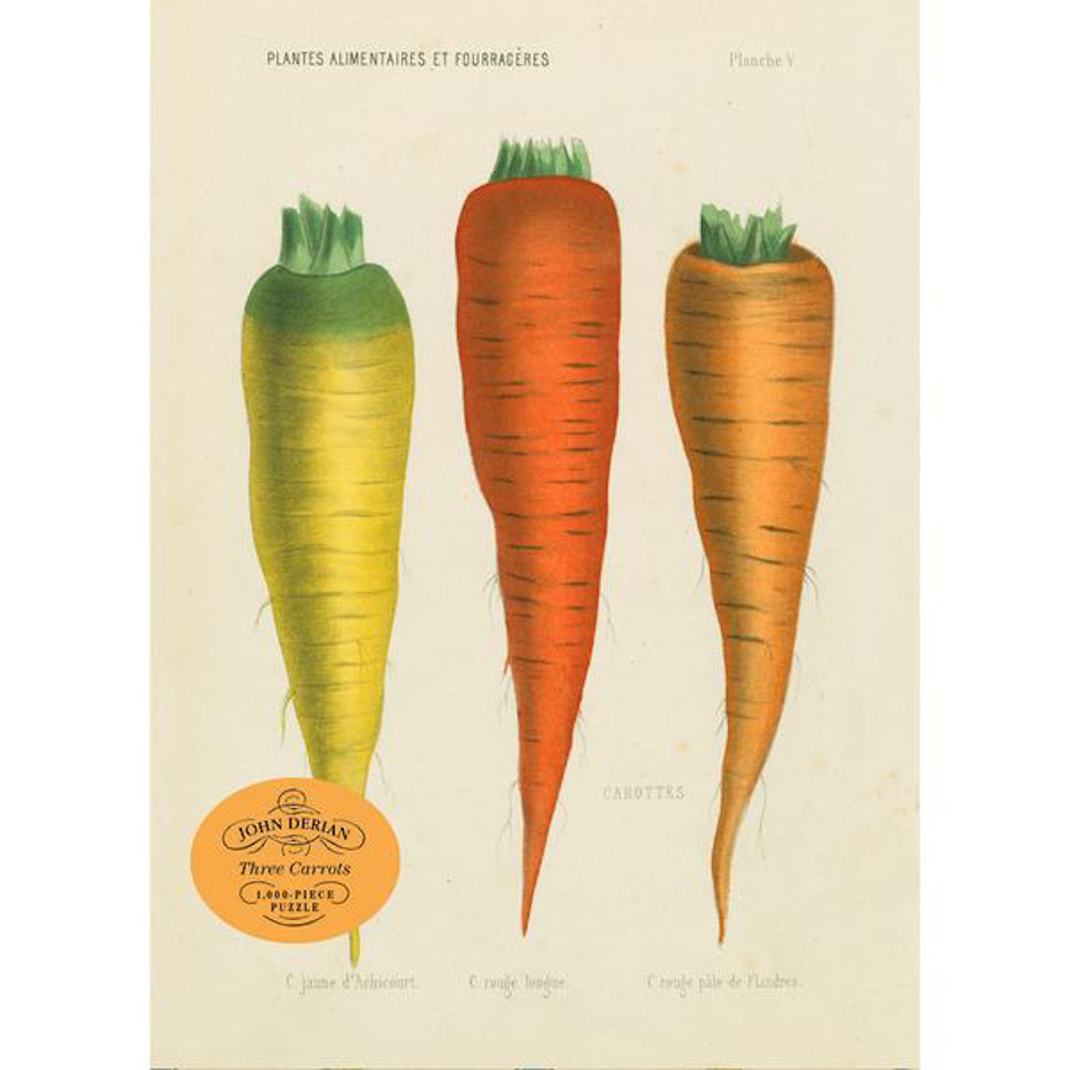 John Derian: Three Carrots 1,000 Piece Puzzle – Hester & Cook
