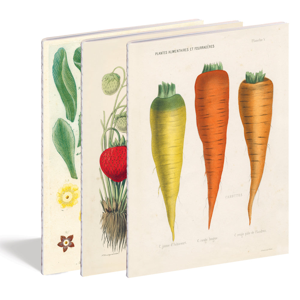 John Derian: Kitchen Delights Notebooks, Set of 3