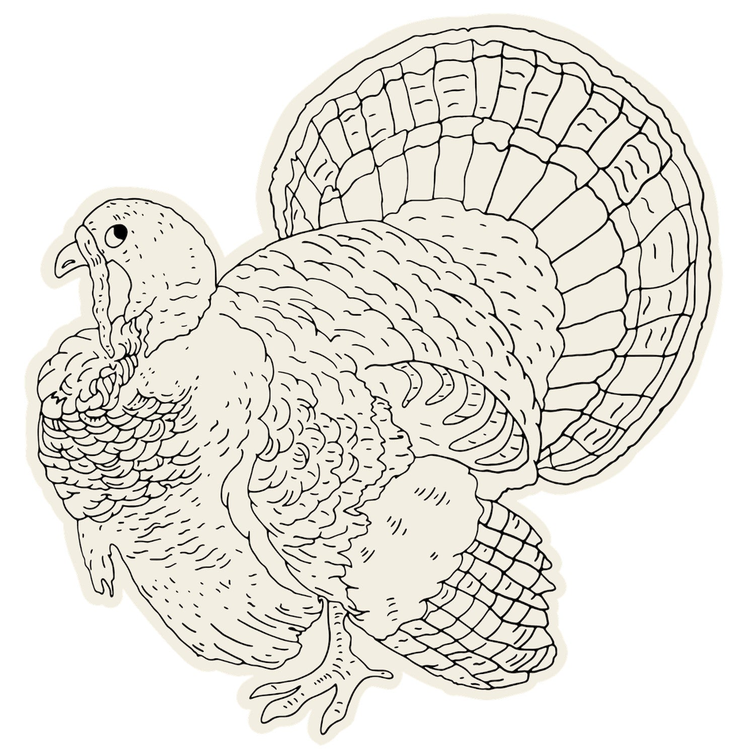 Diecut Coloring Turkey Placemat Hester & Cook