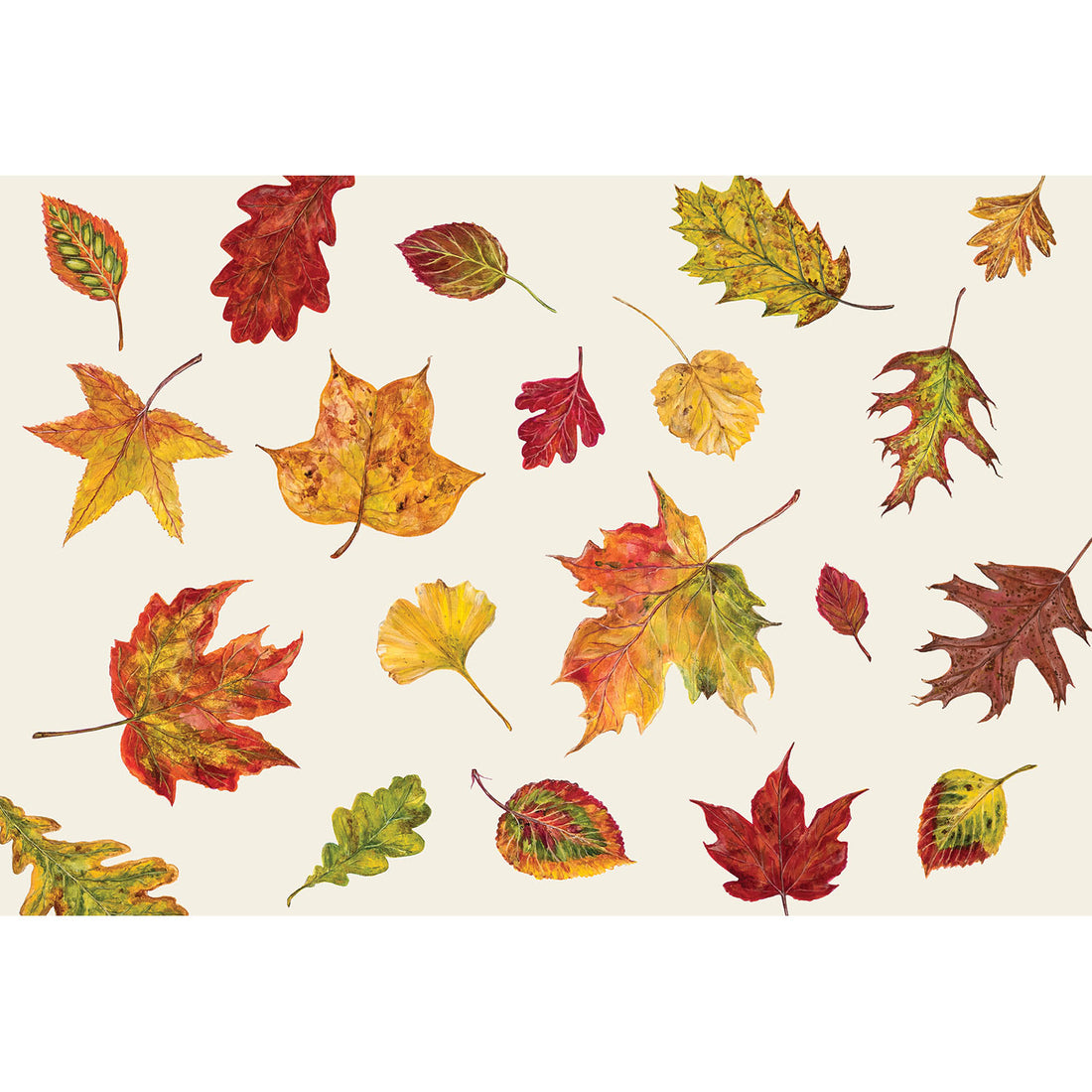 An illustration of varied, colorful fall leaves in yellow, orange, red and green scattered on a white background.