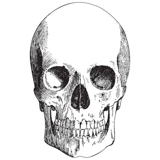 Die-Cut Skull Placemat