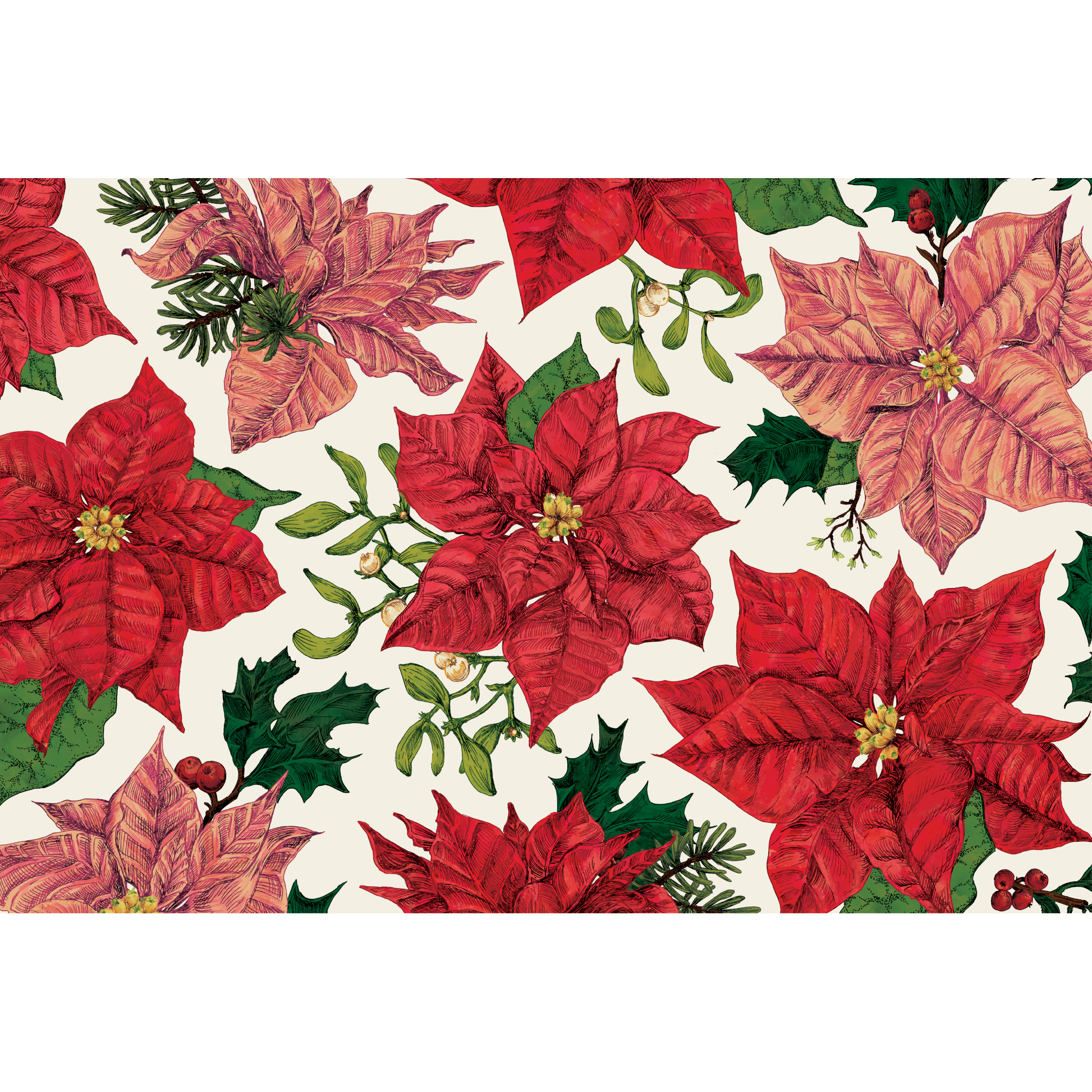 An illustrated scatter of large poinsettias in red and pink, with green accents of winter foliage, on a white background.