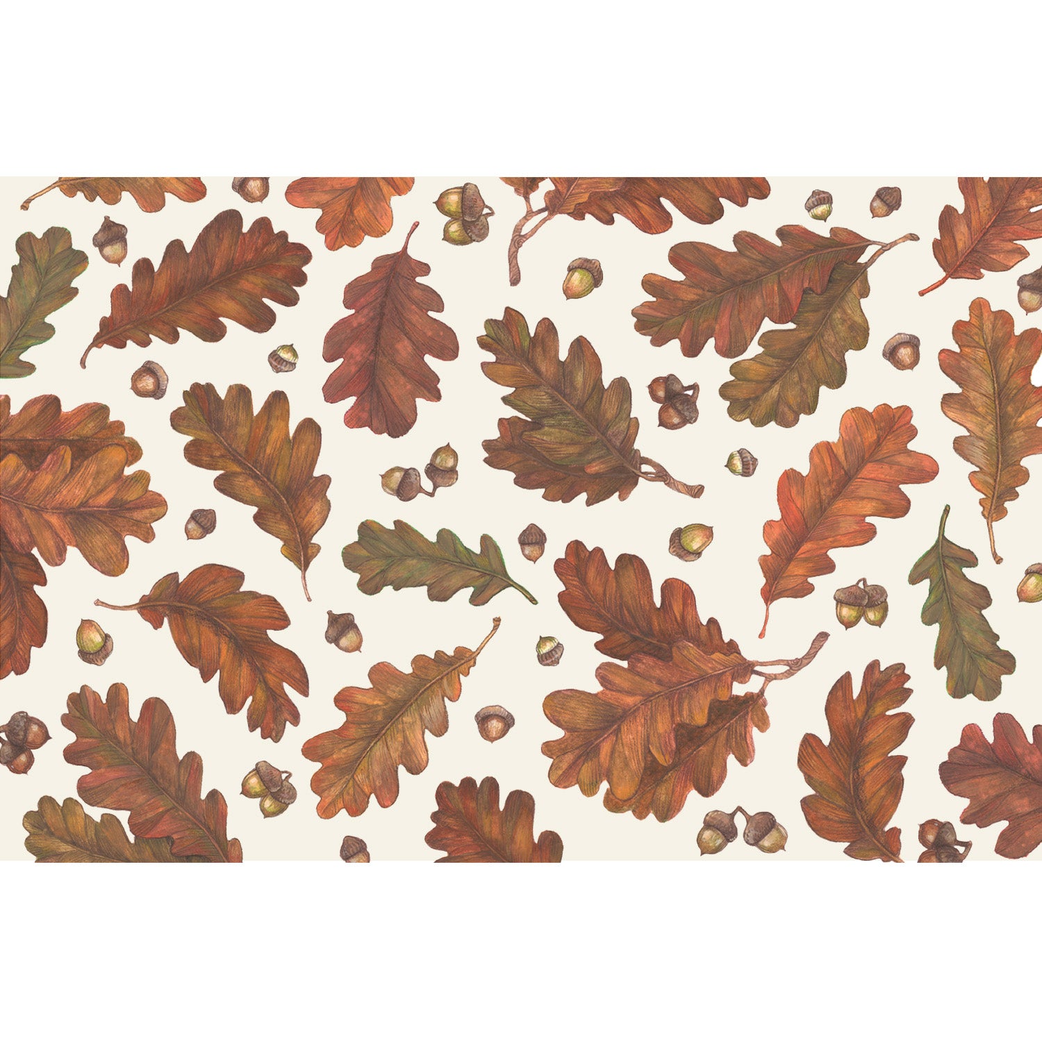 Orange and brown oak leaves scattered with acorns on a white background.