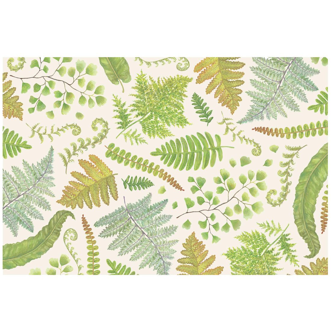 An image of fern leaves on a white background, showcasing the vibrant greens in a greenhouse featuring the Fern Collection Placemat by Hester &amp; Cook.