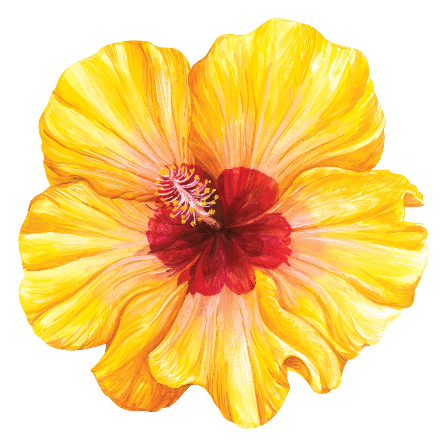 A die-cut illustration of a vibrant yellow and red hibiscus bloom.
