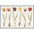 An illustration, contained by a medium blue border lined with dots, of six small people in traditional clothing holding large multi-colored tulips up by the stems, on a white background.