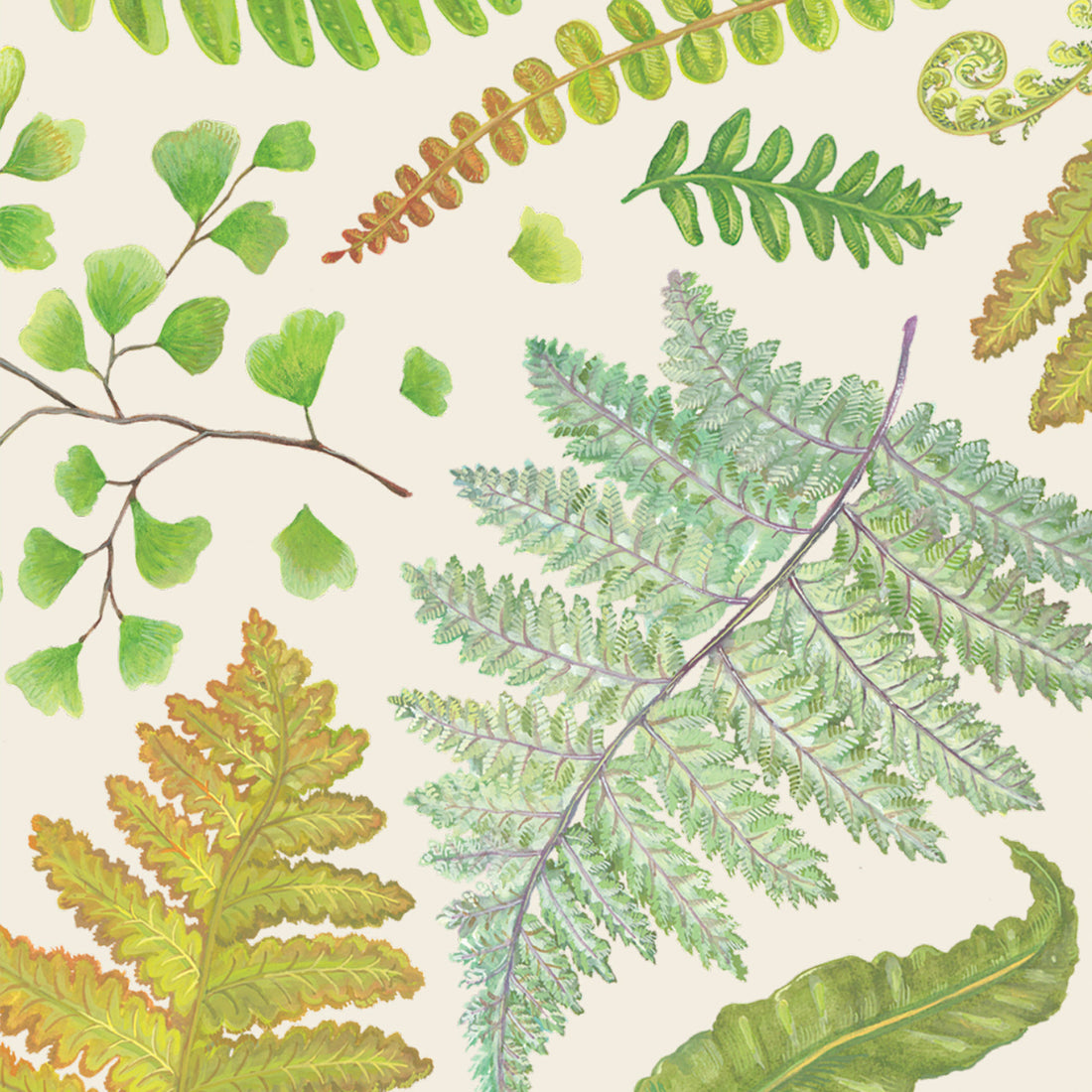 Fern Napkins by Hester &amp; Cook feature watercolor fern leaves on a beige background.