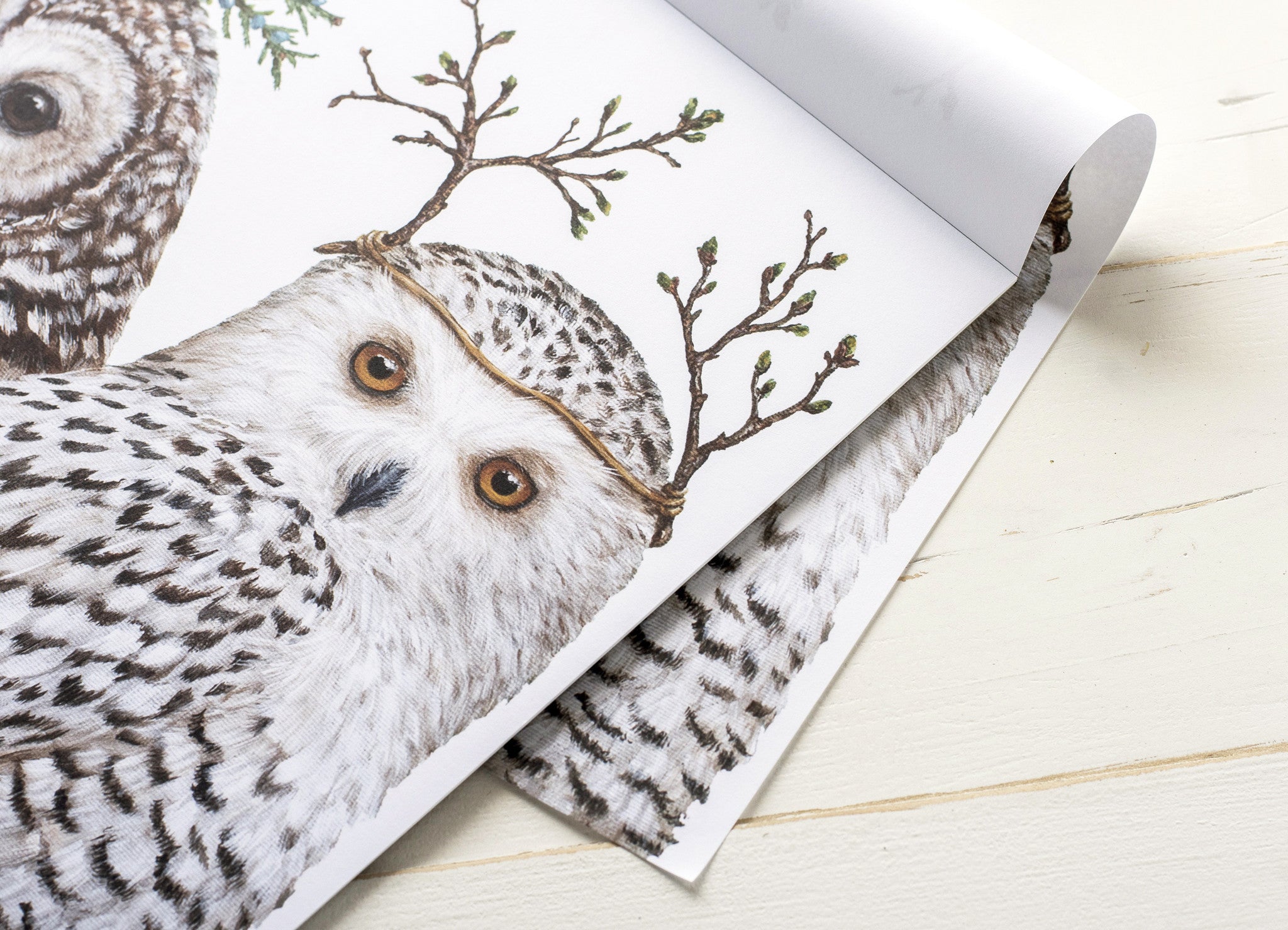 A Winter Owls Placemat featuring artist Vicki Sawyer&