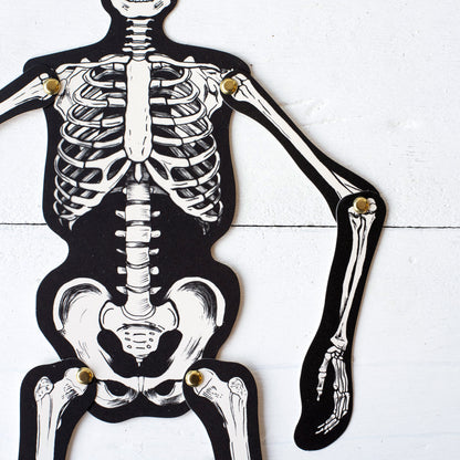 Close-up of the middle section and one arm of the Articulated Skeleton Decorative Accent, showing the brads at the shoulder, elbow and hip joints.