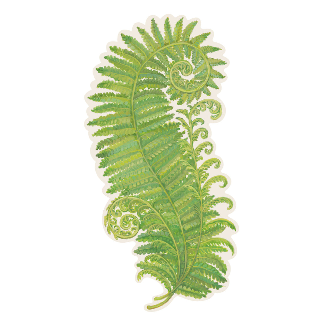 A die-cut illustration of a vibrant green fern frond with delicate coiling leaves.