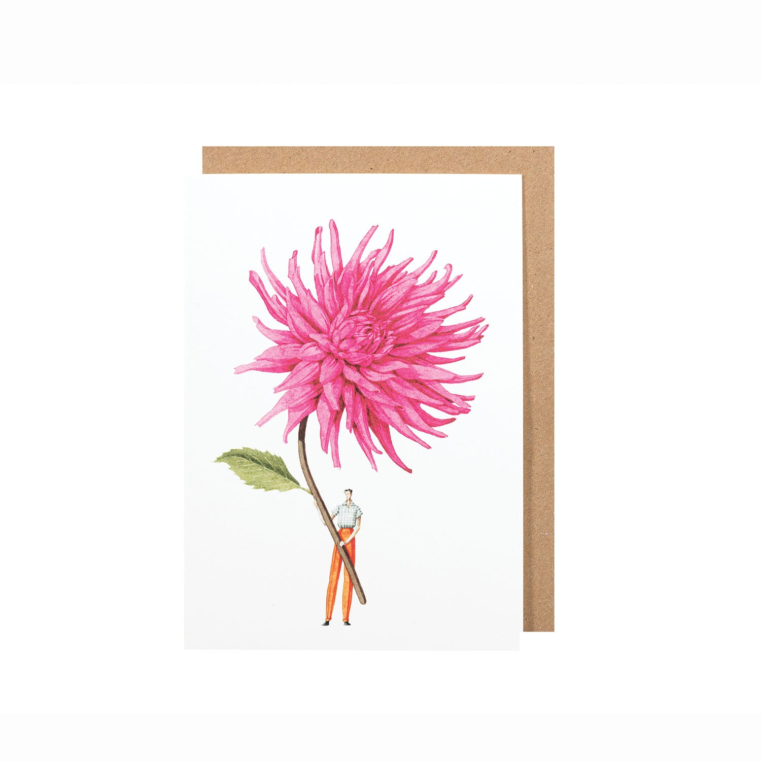 An environmentally sustainable Pink Dahlia Greeting Card featuring a beautiful pink dahlia flower artwork by Hester &amp; Cook.