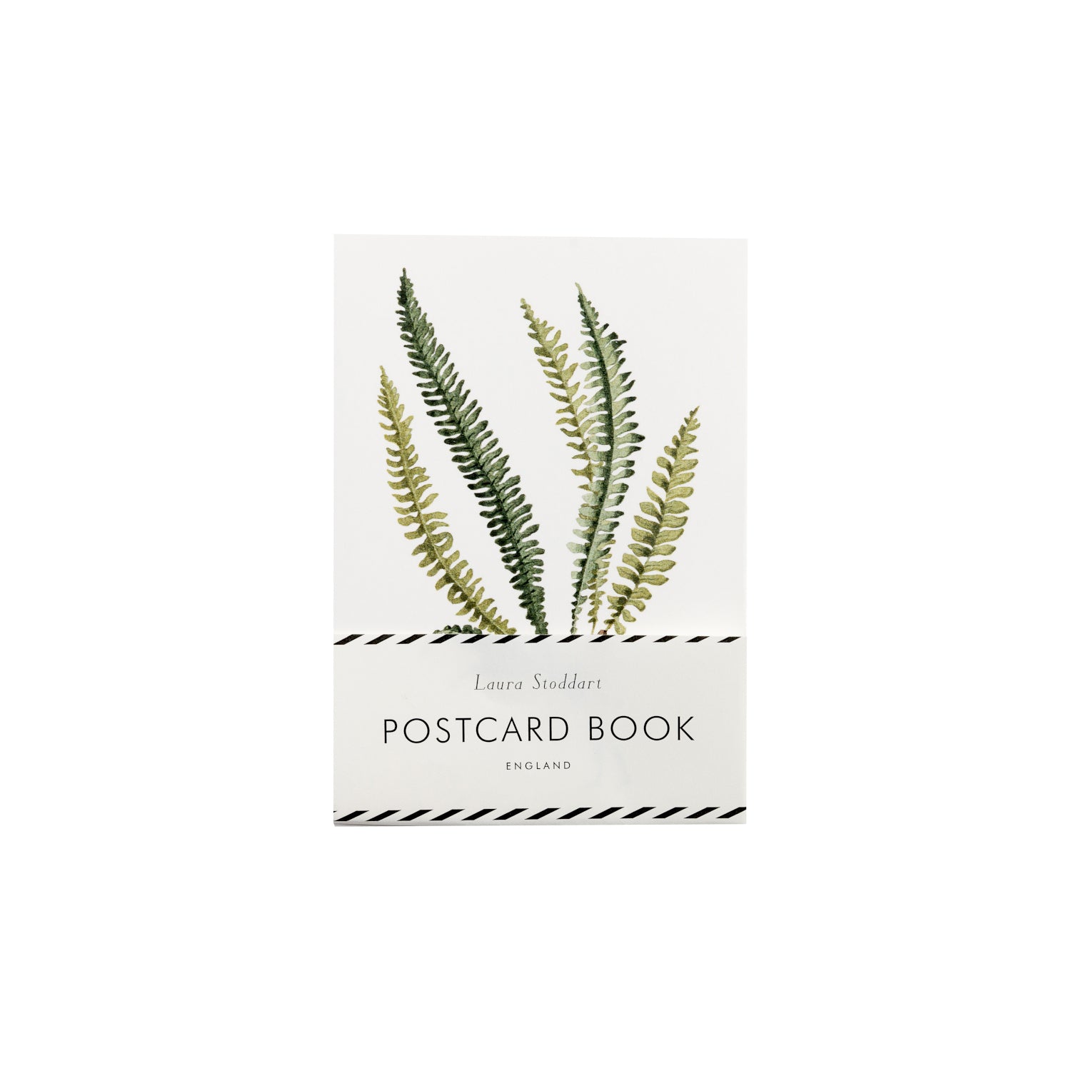 A Fabulous Ferns Postcard Book from Hester &amp; Cook featuring elegant fern leaves.