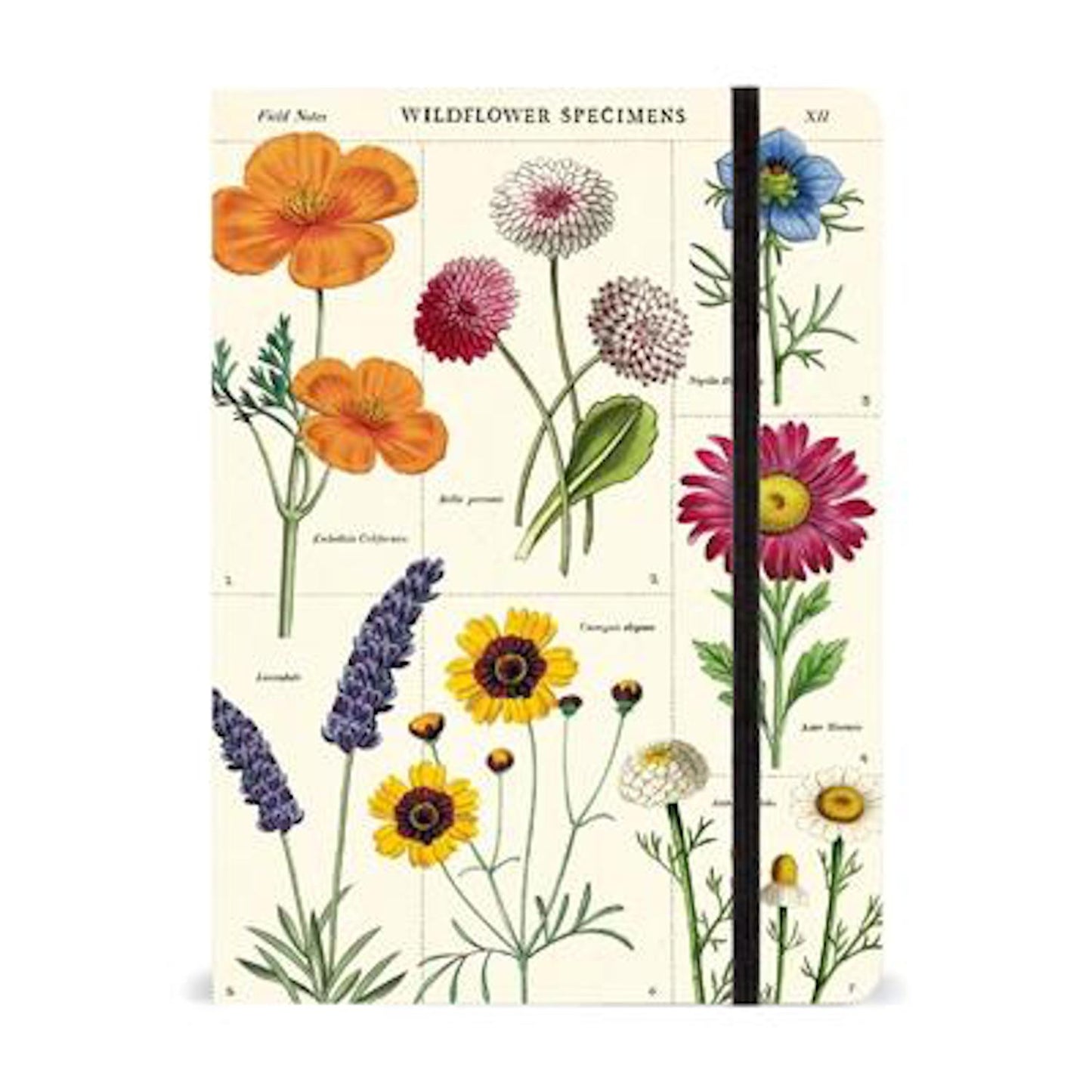 Large Wildflowers Notebook