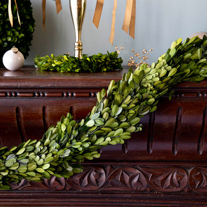 Preserved Boxwood Country Manor Garland