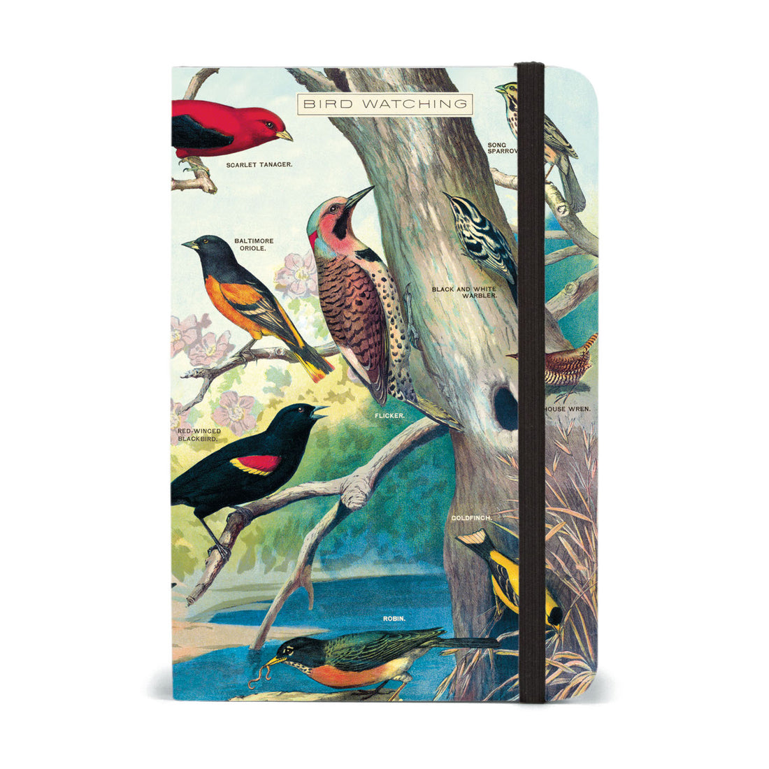 A Bird Watching Small Notebook by Cavallini Papers &amp; Co with illustrations of birds reproduction print perched on a tree.