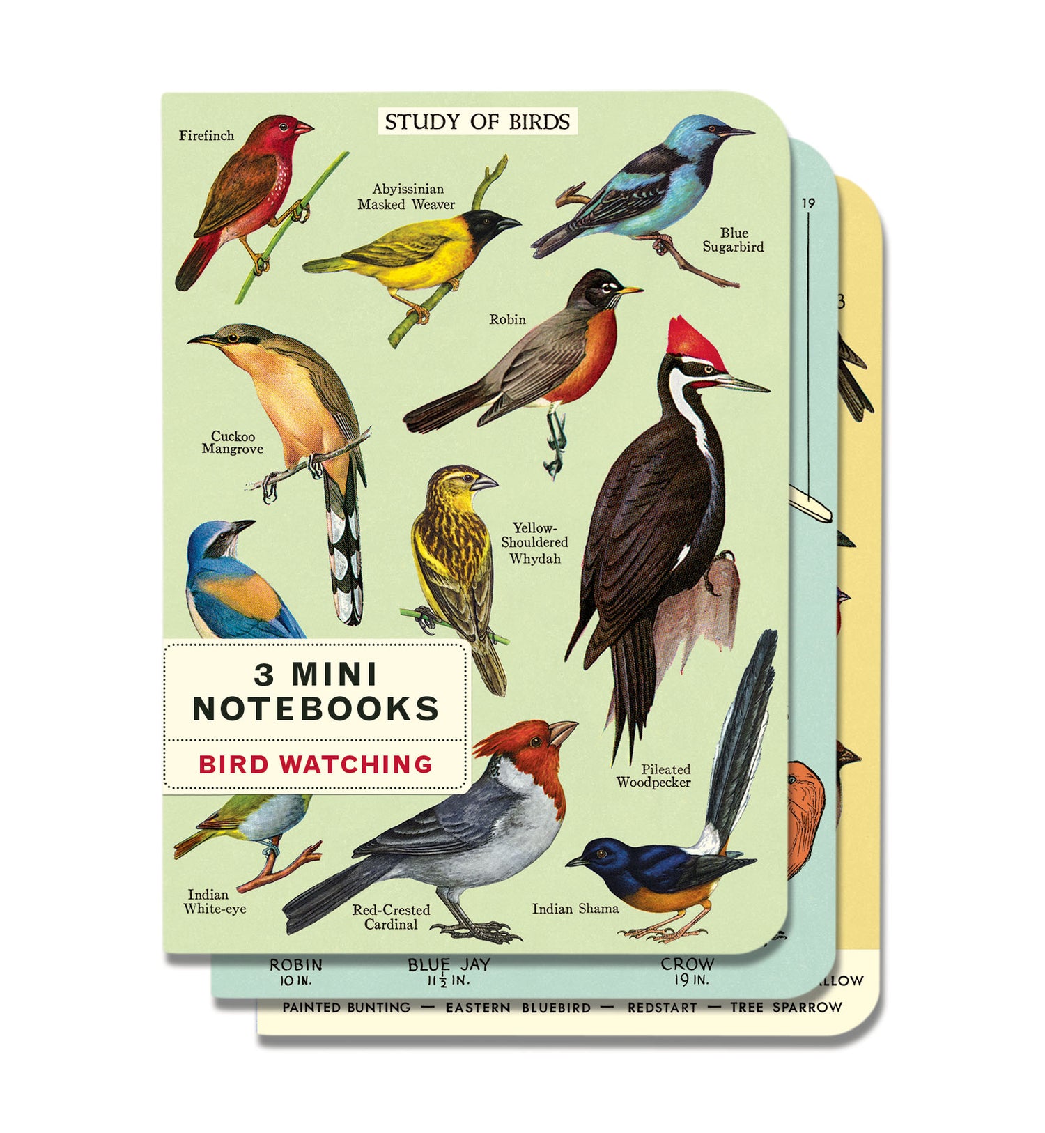 Bird Watching 3 Mini Notebooks set with lined pages by Cavallini Papers &amp; Co.