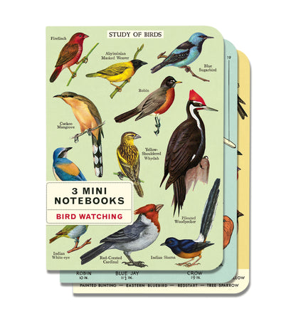 Bird Watching 3 Mini Notebooks set with lined pages by Cavallini Papers &amp; Co.