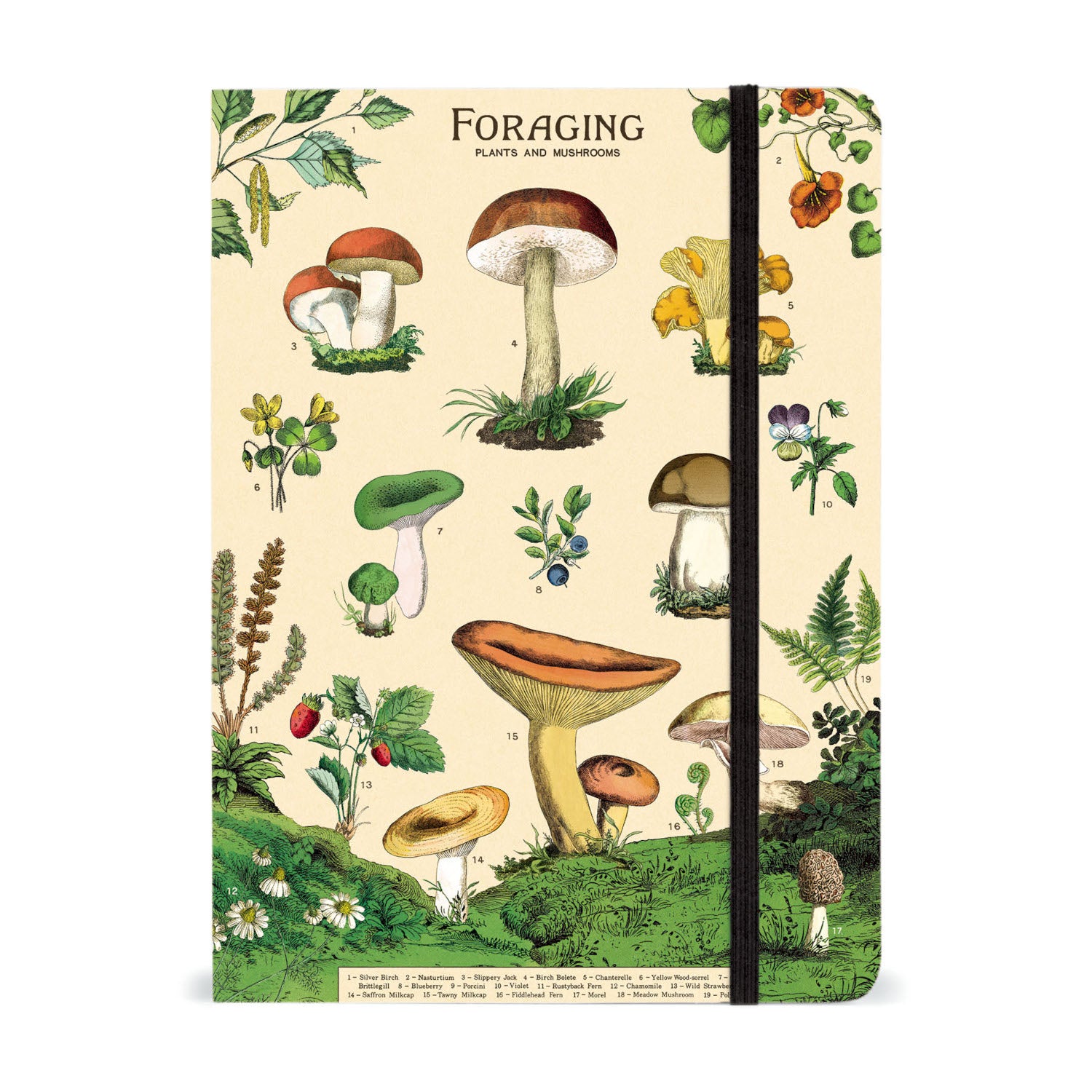 Large Foraging Notebook