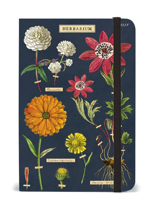 Illustrated Cavallini Papers &amp; Co Herbarium Small Notebook cover featuring a variety of colorful botanical drawings on a dark blue background.