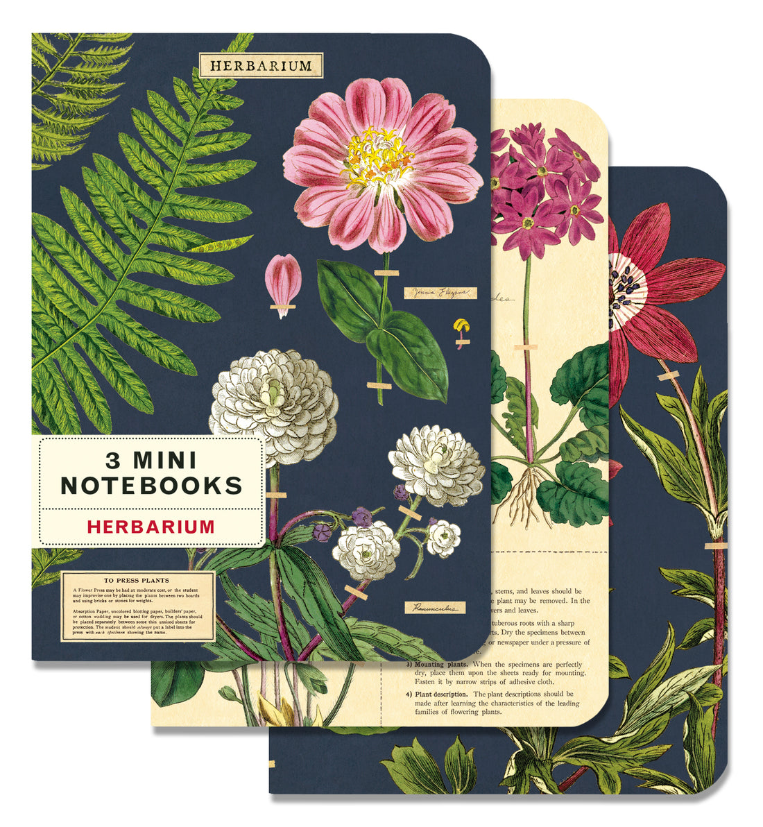 Three Herbarium 3 Mini Notebooks with vintage artwork of flowers on them. (Brand Name: Cavallini Papers &amp; Co)