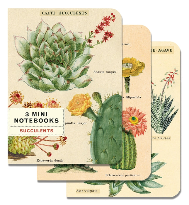 Succulents 3 Mini Notebooks