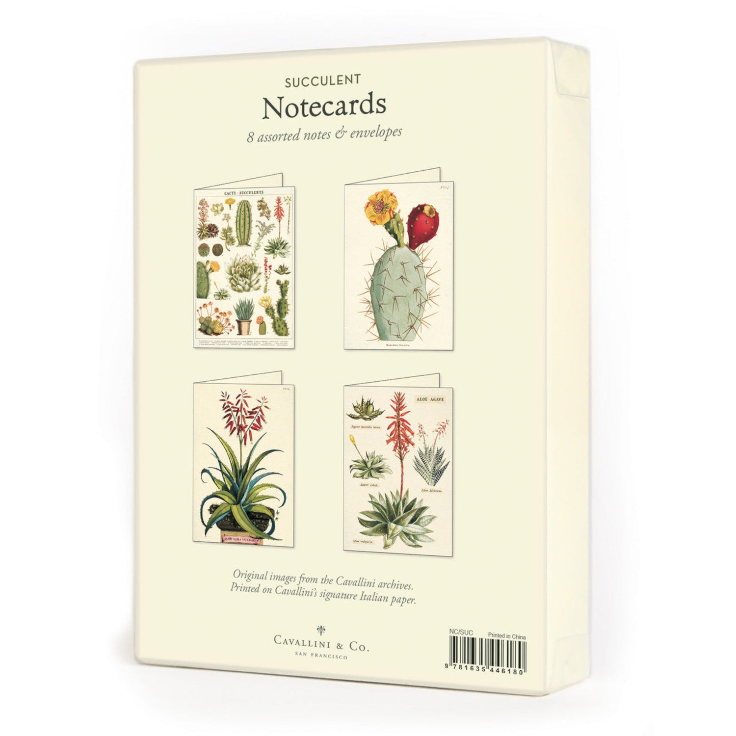 Decorative tins containing Succulents Notecards with a cactus and succulents theme, featuring Cavallini Papers &amp; Co.&
