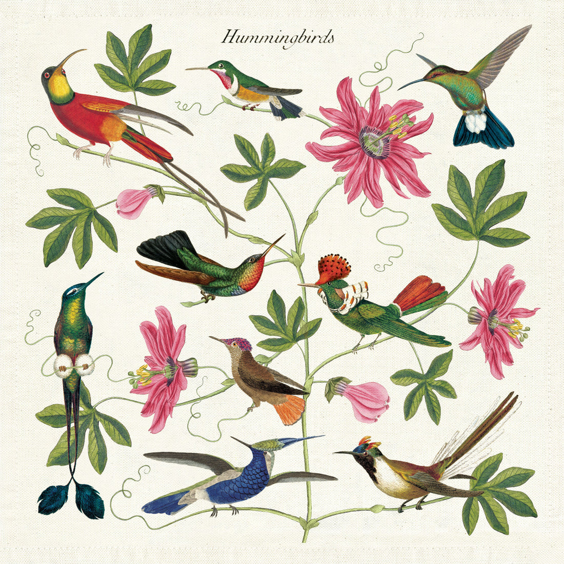 Illustration of various species of hummingbirds with floral elements from the Cavallini Papers &amp; Co archives, designed as a jigsaw puzzle.