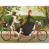 An illustration by artist Janet Hill of a woman and four dogs on a tandem bicycle riding through a garden featuring Miss Moon&